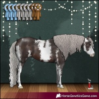 Horse Color:Silver Brown Sabino 