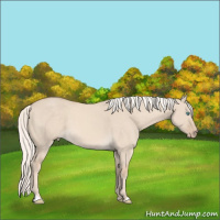 Horse Color:Cremello Dun 