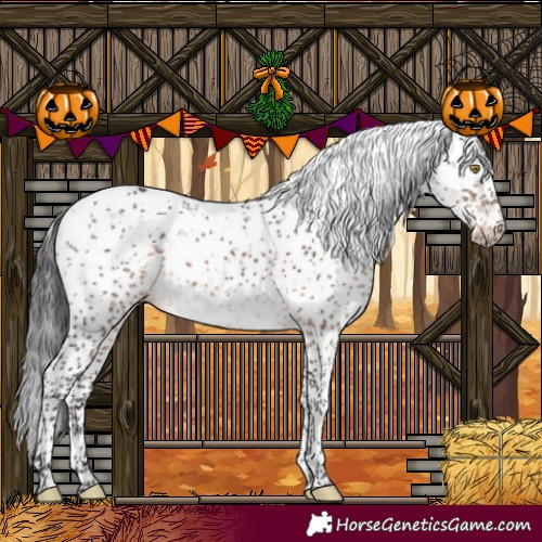 Horse Color:Brown Dun Sabino Brindle 