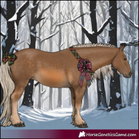 Horse Color:Chocolate Palomino 