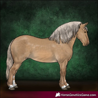 Horse Color:Chocolate Palomino Dun 