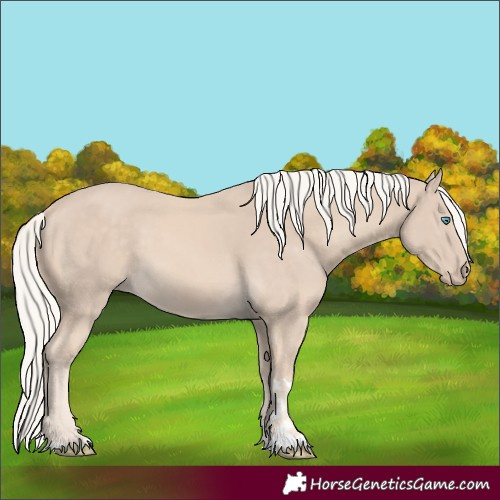 Horse Color:Cremello