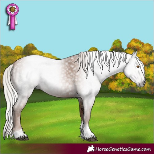 Horse Color:Gray Silver Black Pearl Tobiano