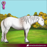 Horse Color:Gray Silver Black Pearl Tobiano 