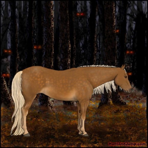 Horse Color:Chocolate Palomino 