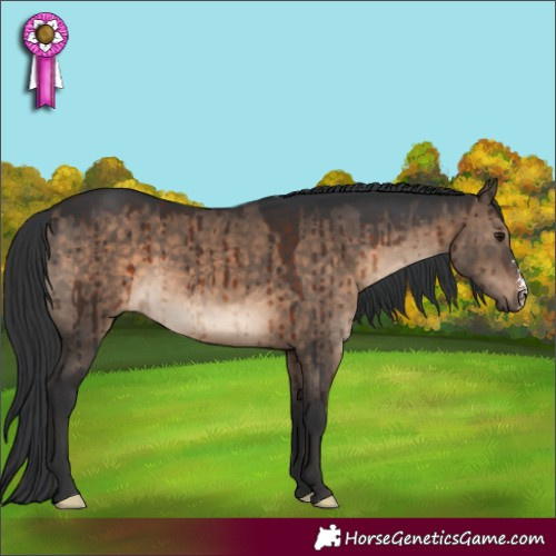 Horse Color:Brown Dun Sabino Brindle 