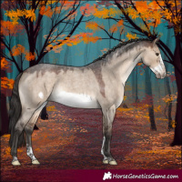 Horse Color:Brown Roan Dun Sabino Frame Rabicano 