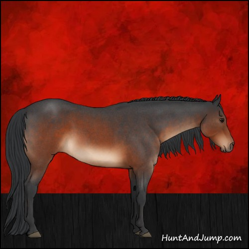 Horse Color:Brown Roan Sabino 