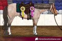 Horse Color:White Spotted Bay Roan