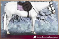 Horse Color:Silver Perlino Roan Dun