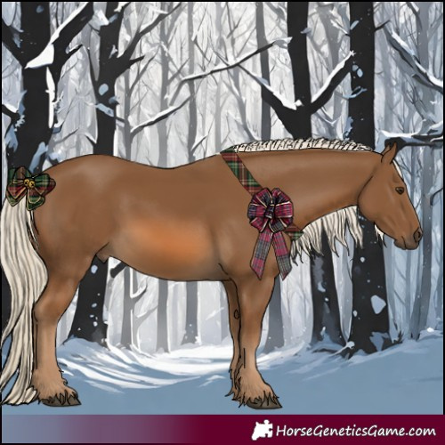 Horse Color:Chocolate Palomino 