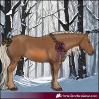 Horse Color:Chocolate Palomino 