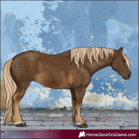 Horse Color:Chocolate Palomino 