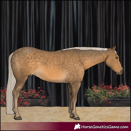 Horse Color:Chocolate Palomino Mushroom