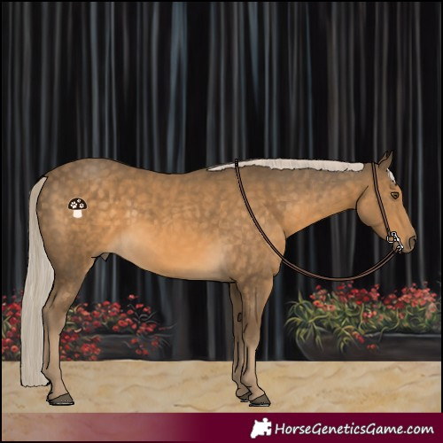 Horse Color:Chocolate Palomino Mushroom 