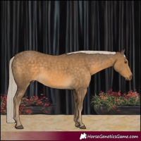 Horse Color:Chocolate Palomino Mushroom 