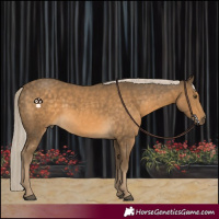 Horse Color:Chocolate Palomino Mushroom 