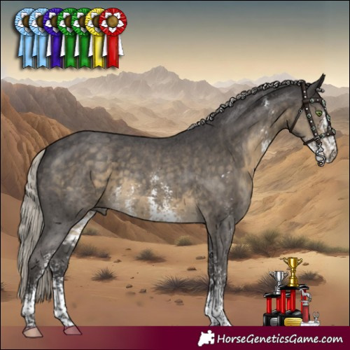 Horse Color:Silver Smoky Black Sabino 