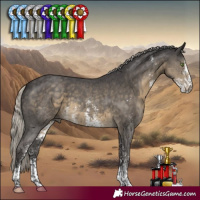 Horse Color:Silver Smoky Black Sabino