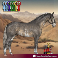 Horse Color:Silver Smoky Black Sabino 