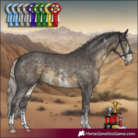 Horse Color:Silver Smoky Black Sabino 