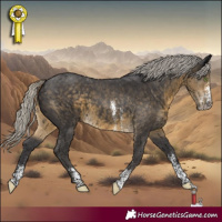 Horse Color:Silver Smoky Black Sabino 