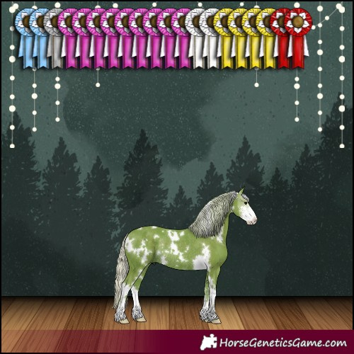 Horse Color:Watercolor White Spotted Silver Black Sabino Rabicano 
