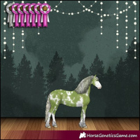 Horse Color:Watercolor White Spotted Silver Black Sabino Rabicano