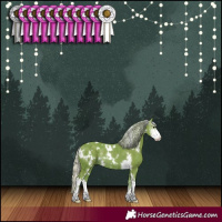 Horse Color:Watercolor White Spotted Silver Black Sabino Rabicano