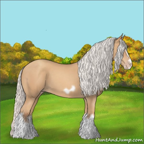 Horse Color:Silver Classic Champagne Splash Frame 