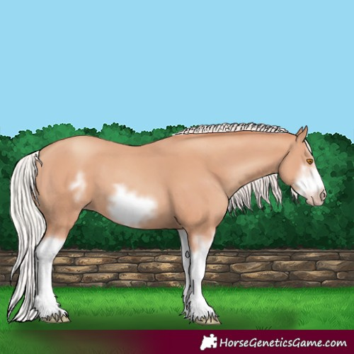 Horse Color:Silver Classic Champagne Splash Frame 