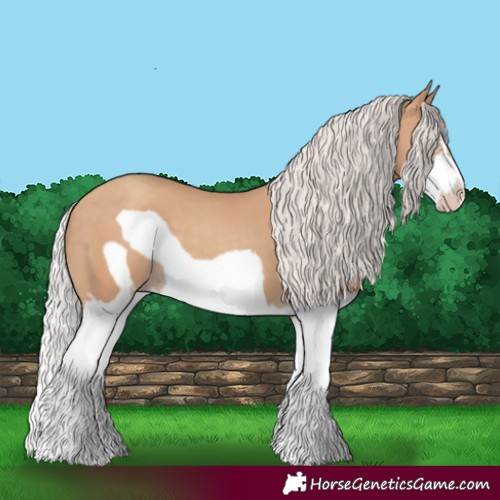 Horse Color:Silver Classic Champagne Splash Frame 