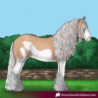 Horse Color:Silver Classic Champagne Splash Frame 
