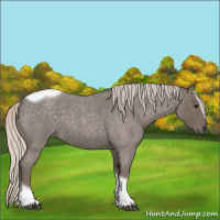 Horse Color:Silver Blue Roan Tobiano Frame 