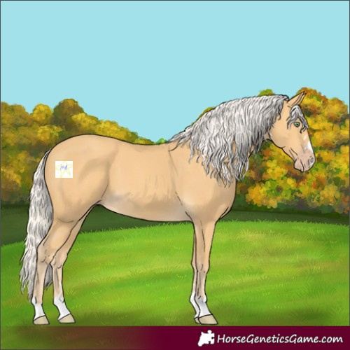 Horse Color:Silver Amber Cream Champagne