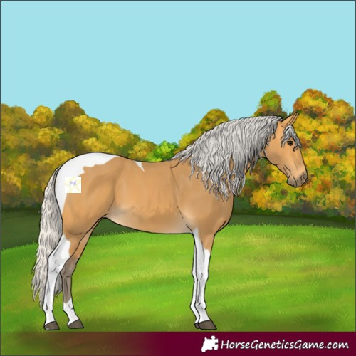 Horse Color:Silver Buckskin Tobiano 