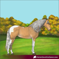 Horse Color:Silver Buckskin Tobiano 