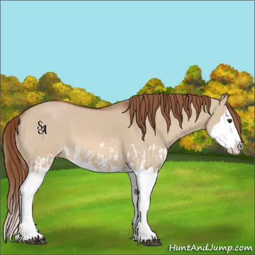 Horse Color:Red Dun Splash  and Red Dun Splash 