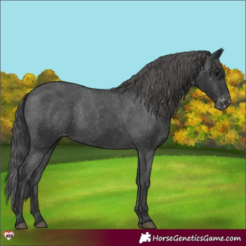 Horse Color:Black Varnish 