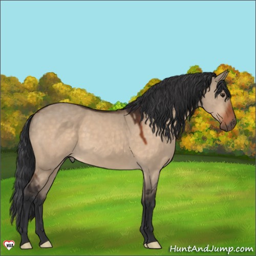Horse Color:Brown Dun 