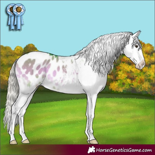 Horse Color:Watercolor Chocolate Palomino Onyx Sabino Blanket