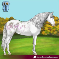 Horse Color:Watercolor Chocolate Palomino Onyx Sabino Appaloosa 