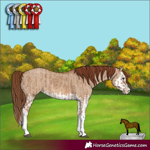 Horse Color:Red Dun Splash  and Red Dun Splash 