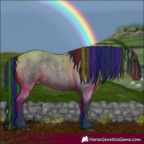 Horse Color:Painted Blue Roan