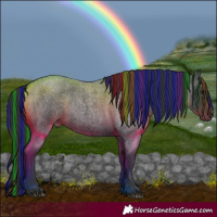 Horse Color:Painted Blue Roan 