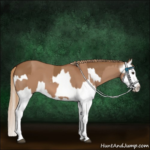 Horse Color:Red Dun Splash  and Gray Red Dun Splash 