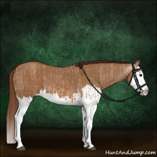Horse Color:Red Dun Splash  and Gray Red Dun Splash 