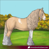 Horse Color:Gold Champagne Splash Tobiano