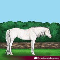 Horse Color:Cremello Sabino  and Cremello Sabino 