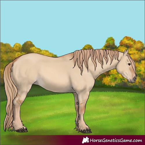 Horse Color:Red Dun 
